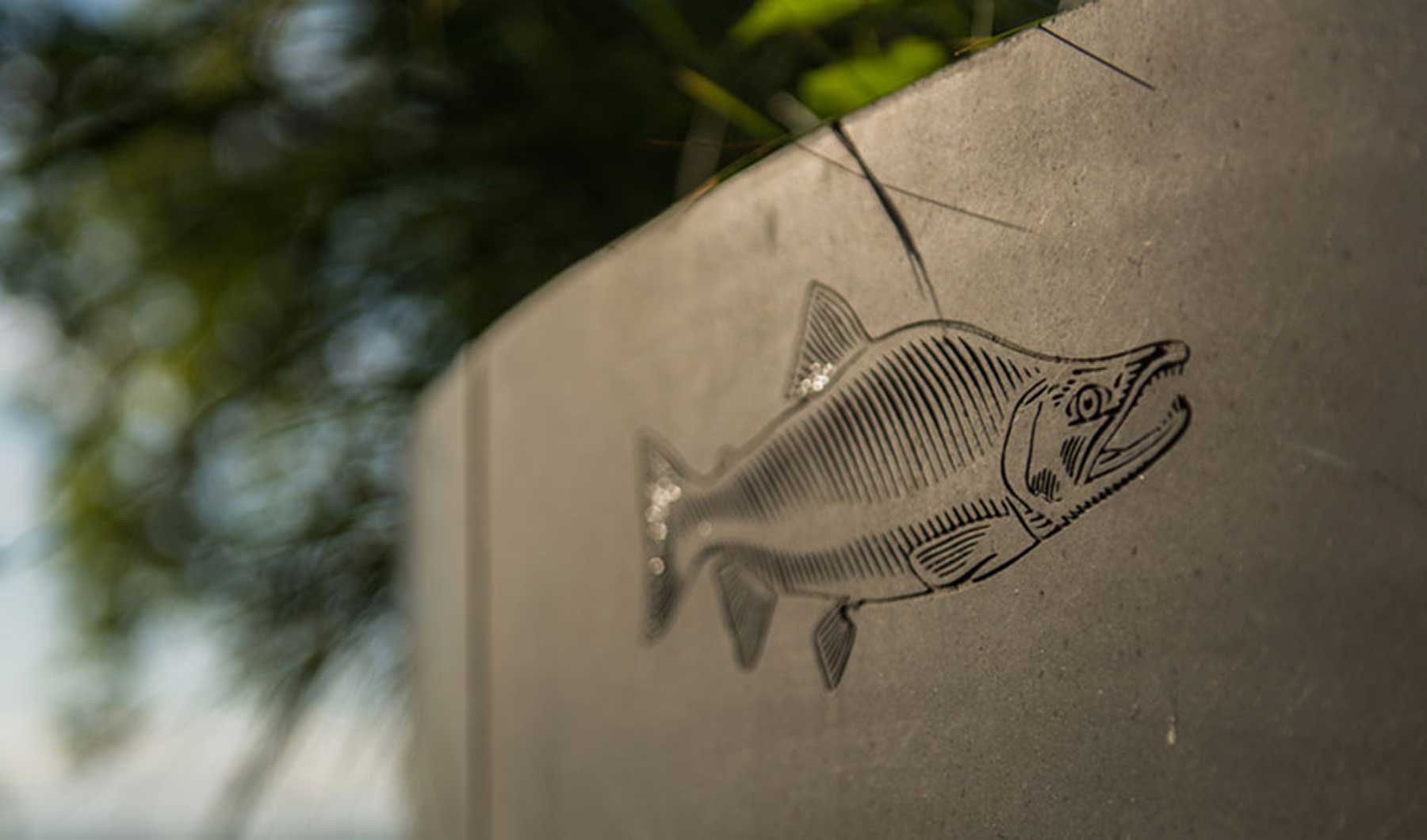 Gallery: Fishing at Celilo Falls - Confluence Project