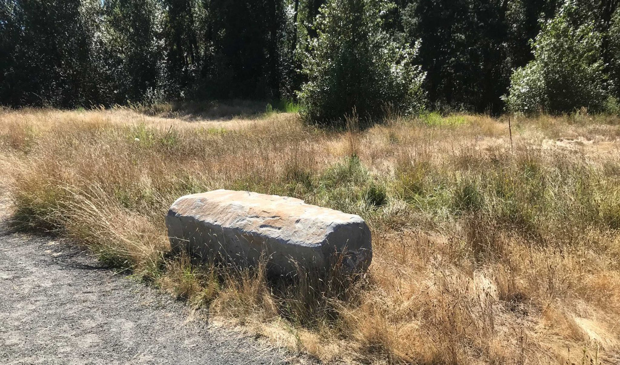 Benches Installed at Sandy River Delta - Confluence Project